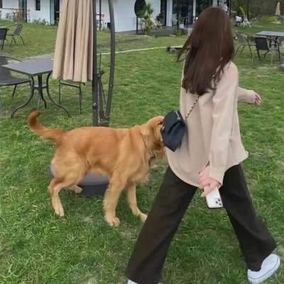 魔鬼终结者2